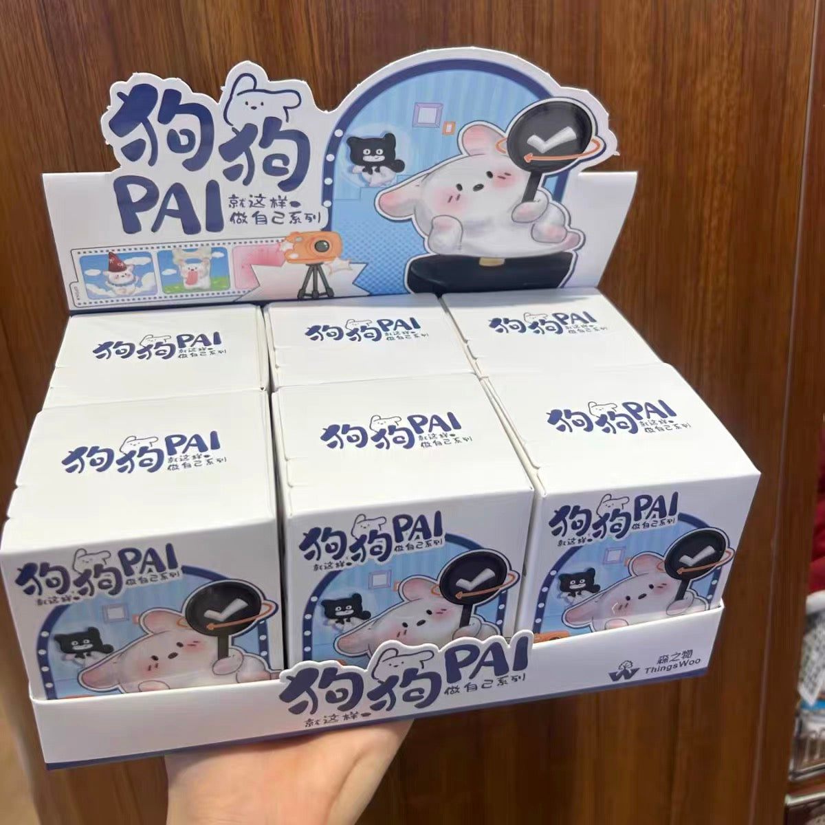 Cat Pai Make Life A Little Sweeter Rotation Blind Box Cat Pai Never Stop Dreaming Lewu You Dog Pai Just Be Yourself Series Figures Blind Box